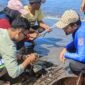 Aksi nyata pelestarian laut dilakukan Komunitas Penggiat Konservasi Nyelam Sukabumi (PENYU)