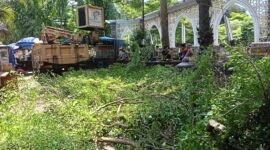 Dinas Perkim Kabupaten Sukabumi melakukan pemangkasan pohon di area Alun-Alun Palabuhanratu