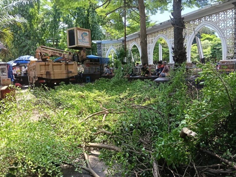 Dinas Perkim Kabupaten Sukabumi melakukan pemangkasan pohon di area Alun-Alun Palabuhanratu