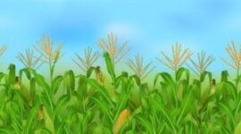 Pemerintah Desa Cimanggu, Kecamatan Palabuhanratu, Kabupaten Kabupaten Sukabumi