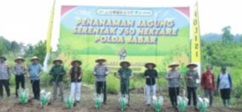 Pemerintah Desa Cimanggu, Kecamatan Palabuhanratu.